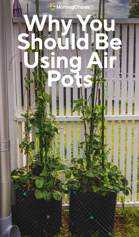 Advantages of using Air-Pot - Urbidermis