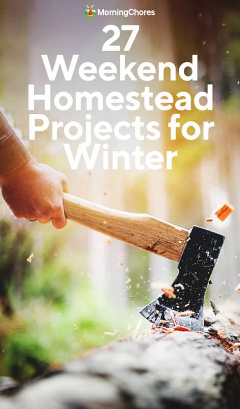27 Winter Homestead Projects You Can Do in a Weekend