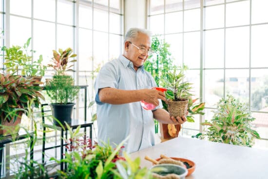 9 Senior Gardening Ideas for Apartments and Indoors