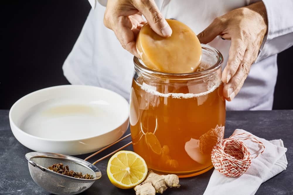 Make A Thriving Homemade Kombucha SCOBY In 3 Simple Steps Make A Thriving Homemade Kombucha SCOBY In 3 Simple Steps