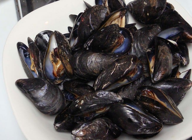 Mussels photo by Evan Cooper via Flickr Creative Commons