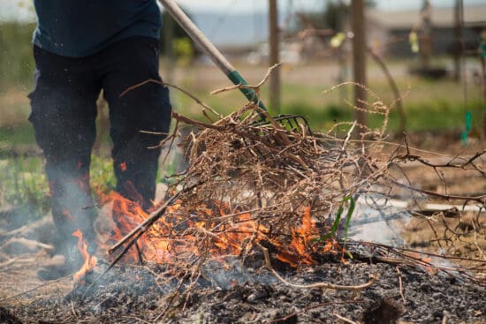 Open Burning in Your Backyard: How to Prepare and Burn Safely