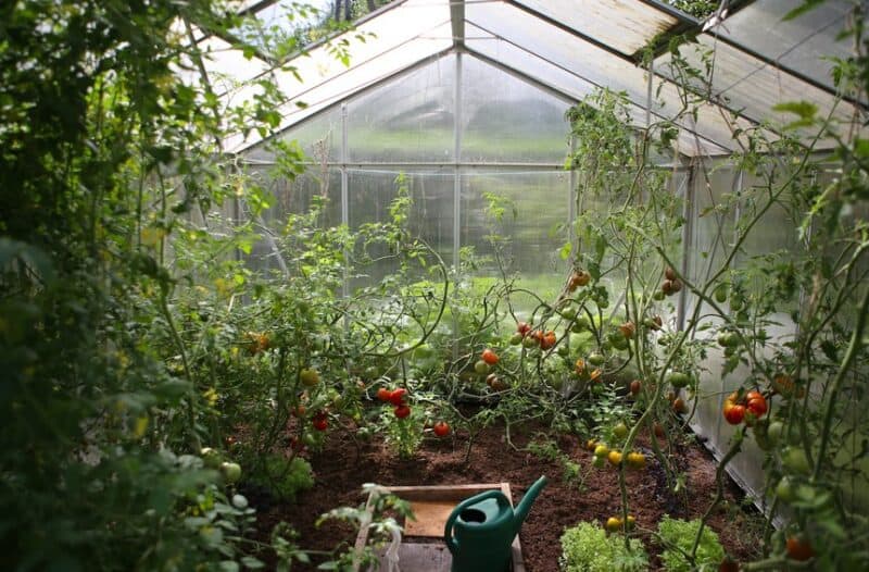 Food security: consider a greenhouse that uses geothermal heating.