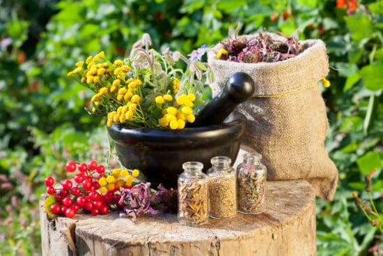 A Basic Beginner’s Guide to Healthy Homestead Herbalism