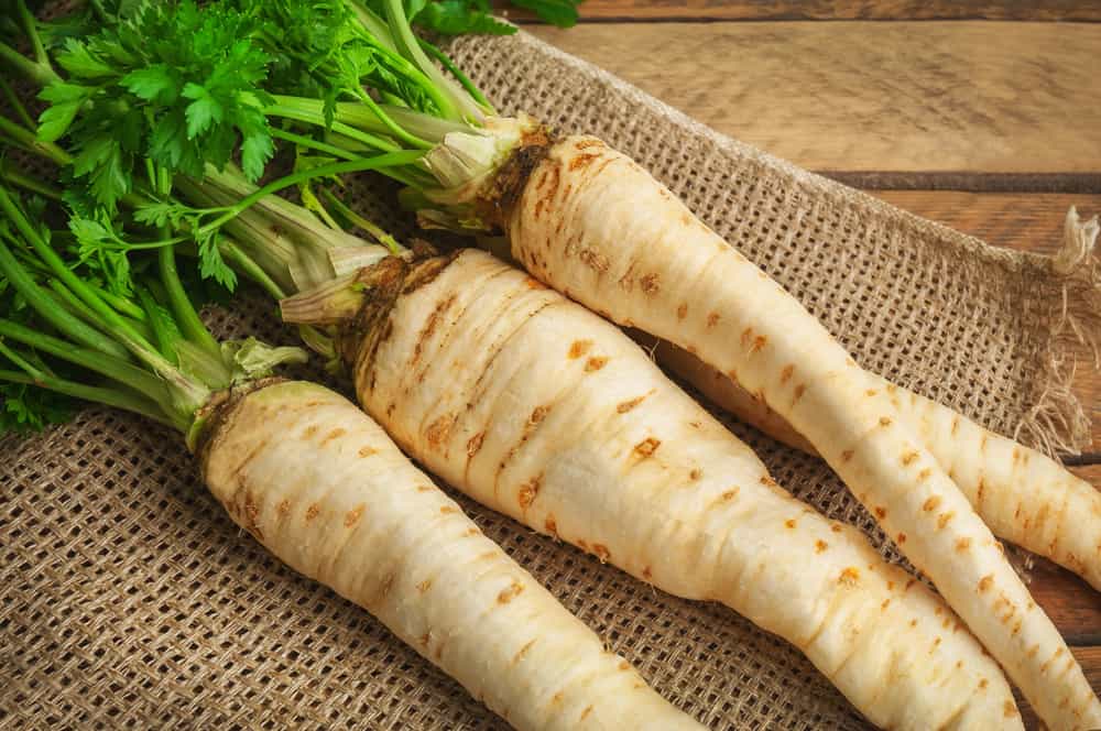 Growing Parsley Root: How to Plant and Care For This Forgotten Vegetable