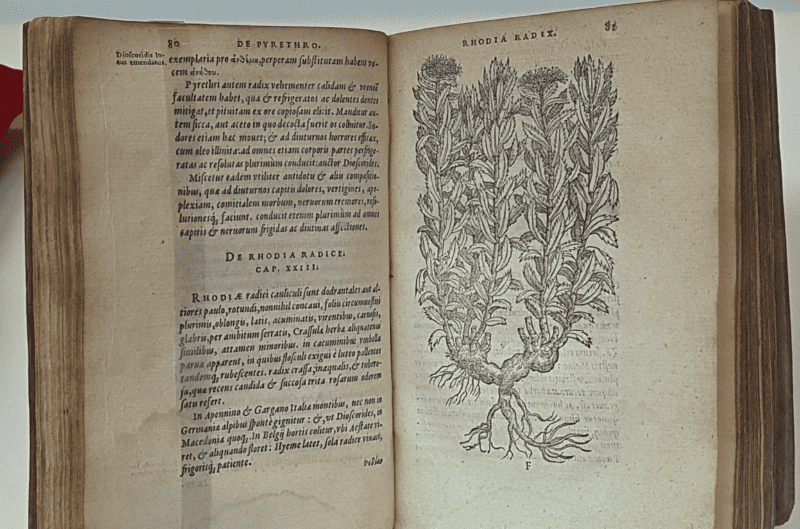 Ancient herbal medicine book, photo byKleon3 via Wikimedia Commons