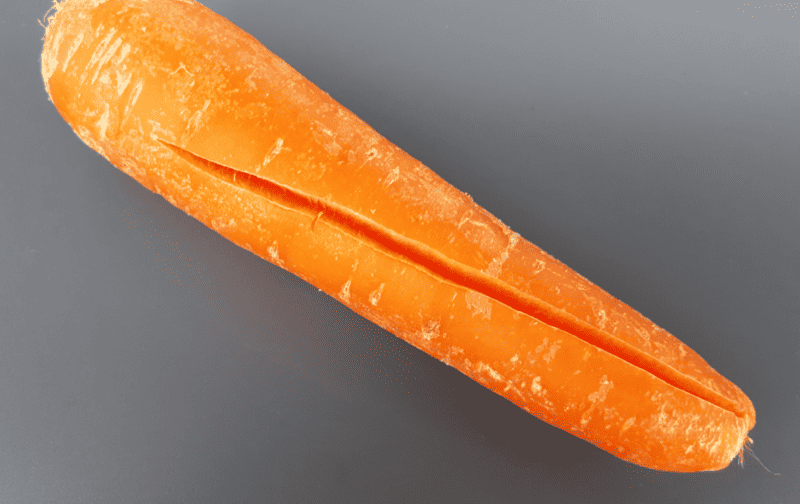 Cracked carrot photo by Fructibus, via Wikimedia Commons