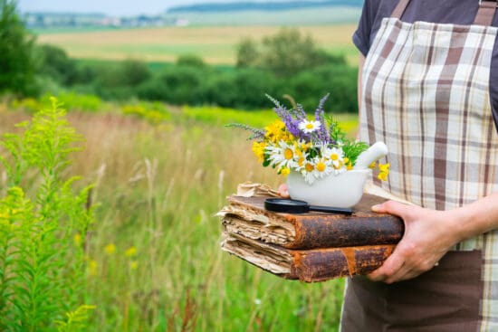 A Comprehensive List of the Best Homestead Herbal Medicine Books